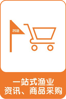 &#26032;&#21033;