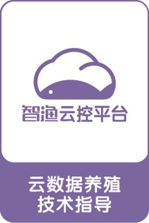 &#26032;&#21033;